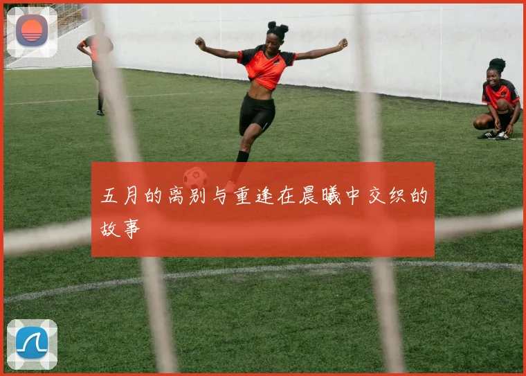 五月的离别与重逢在晨曦中交织的故事