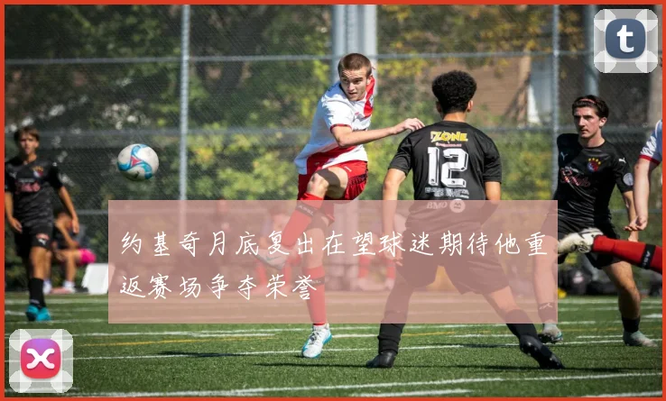 约基奇月底复出在望球迷期待他重返赛场争夺荣誉