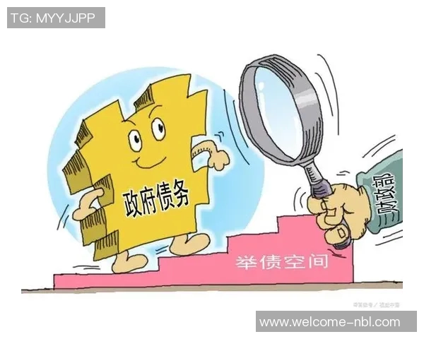 中赫九年投资八十亿背后的民营企业债务危机与挑战